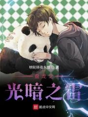 盘龙之光暗之雷