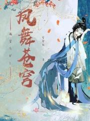 魂穿异世之凤舞苍穹