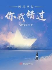 晚风吹过，你我错过