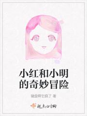 小红和小明的奇妙冒险