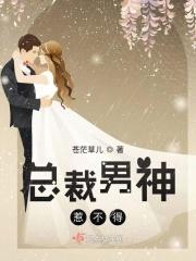 总裁男神惹不得