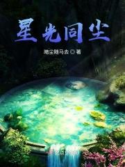 星光同尘