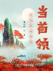 穿书后我成了大反派的后勤