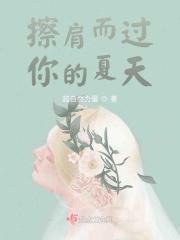 擦肩而过你的夏天