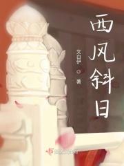 西风斜日