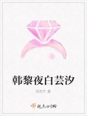 韩黎夜白芸汐