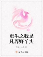 重生之我是凡界野丫头