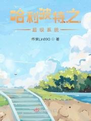 哈利波特之超级系统