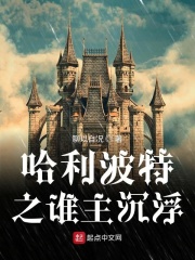 哈利波特之谁主沉浮
