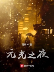 元光夜