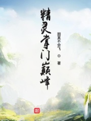 精灵掌门巅峰