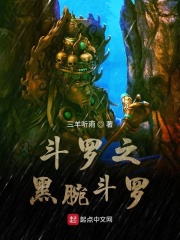 斗罗之黑腕斗罗
