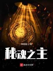 秘魂之主