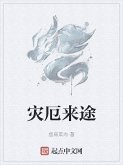 灾厄来途