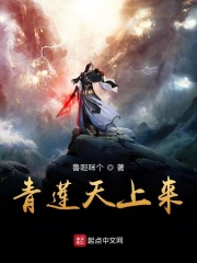 青莲天上来