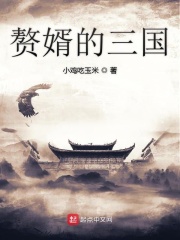 赘婿的三国