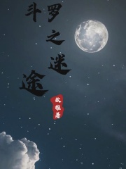 斗罗之迷途