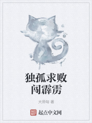 独孤求败闯霹雳