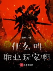 什么叫职业玩家啊