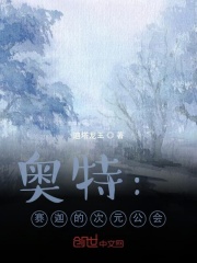 奥特:赛迦的次元公会