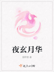 夜玄月华