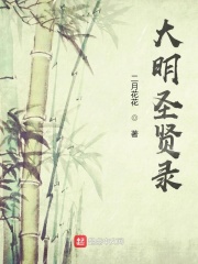 大明最后一个圣贤