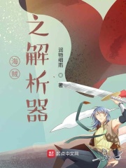 海贼之解析器
