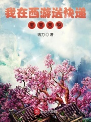 我在西游送快递，宝宝苦啊