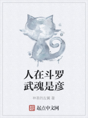 人在斗罗武魂是彦