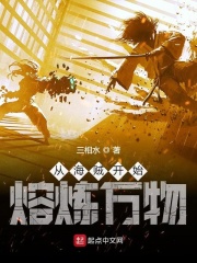 从海贼王开始熔炼万物