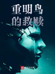 重明鸟的救赎