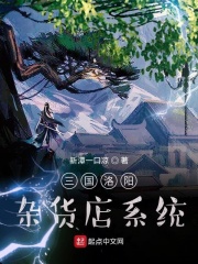三国洛阳杂货店系统