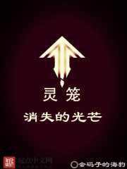 灵笼:消失的光芒