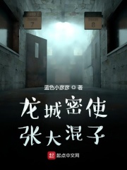 龙国密使张大混子