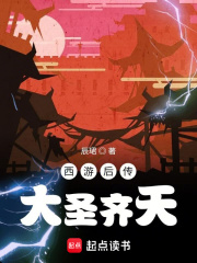 西游后传,大圣齐天