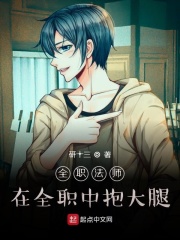 全职法师:在全职中抱大腿