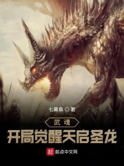 武魂:开局觉醒天启圣龙!