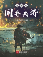 天哪这就是南明