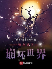 我创造了崩坏世界
