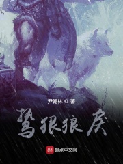 鸷狠狼戾
